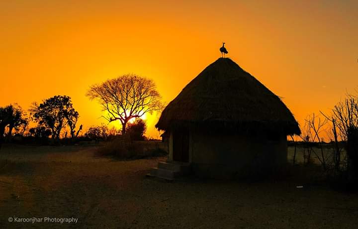Ramesht28781189's tweet photo. Sunset from Kasbo Village, Nagarparkar.. https://t.co/FwRQ2Y0Hjt