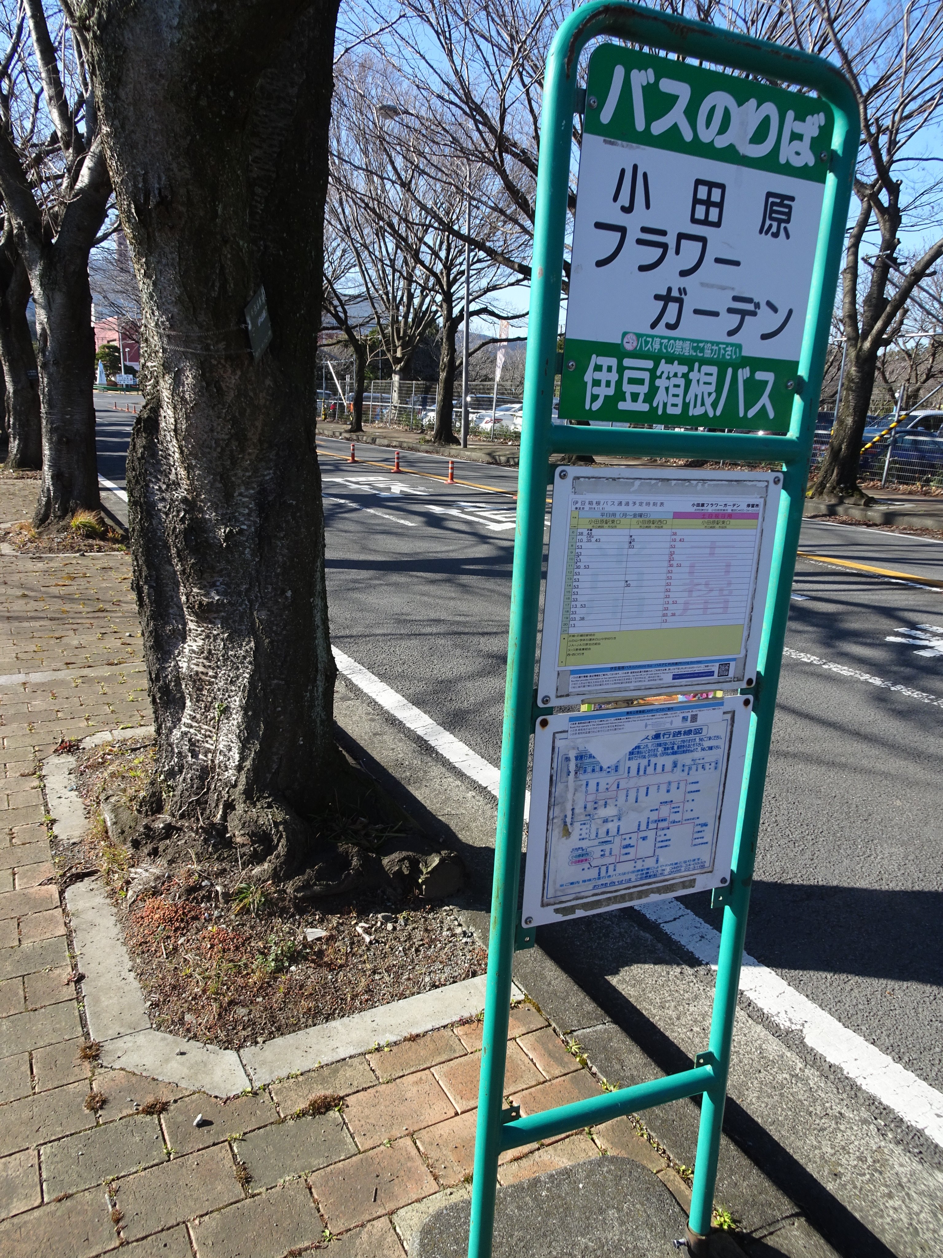 伊達サクット 伊豆箱根バス 小51系統 船原経由 小田原駅 県立諏訪の原公園 小田原フラワーガーデン 公園方面 次がすぐ終点の為か時刻表が付いていない なぜかプレートの バスのりば の文字が白いテープで バスの に修正されている 裏表両方