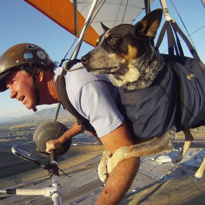 CutestPetDogs's tweet photo. Cute Dog &amp; His Friend Having Fun Hang Gliding Together...

#dog #doglover #animallover #cutedogs #doggies #doglife #dogs #dogsoftitter #twitterdog #hanggliding #hanggliders #ultralight #gliders #extremesports #adventure #explore #traveling #outdoors #lovedogs #naturelover #pets https://t.co/g60fbmg1oT