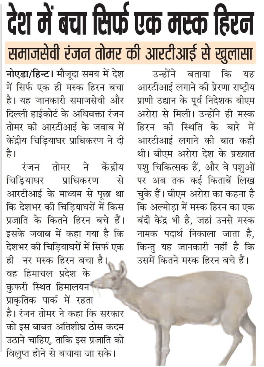 RanjanTomar's tweet photo. The story of the loneliest #MuskDeer of India #MyRTI , please help him , bring a female companion #SaveMuskDeer @Manekagandhibjp @dr_maheshsharma @narendramodi @drharshvardhan @PankajSinghBJP @Bhupenpareek1 @rockme26 @prchandna https://t.co/tVyCtQ92a4