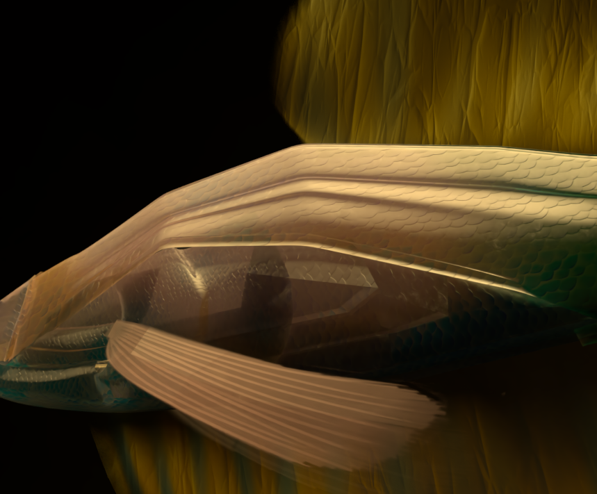 RFTobar's tweet photo. There's a scene to be made but almost done with model. #wip of #fish. #octanerender #lightwave3d #animalart #cgart #digitalart #modeling #digitalorigami #lowpoly #lowpolyart https://t.co/zwAsNqjs7x