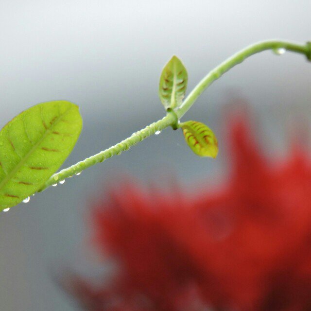 힘들다
힘들다
생각하면
더 힘들어져요.
괜찮다
괜찮다
생각하면
더 괜찮아질거예요.