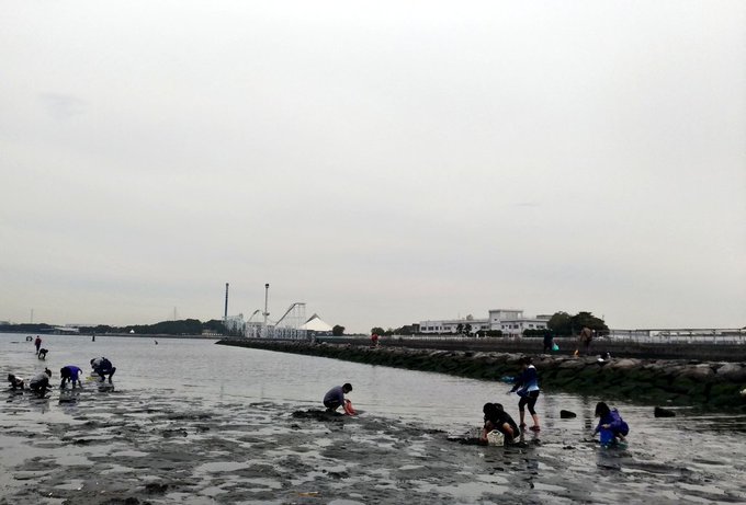 潮干狩りのtwitterイラスト検索結果 古い順