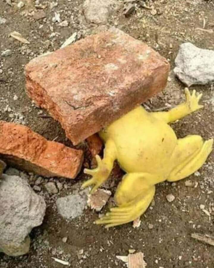 agus_mohamed's tweet image. Dah biarin aja .. #2Yes✌️