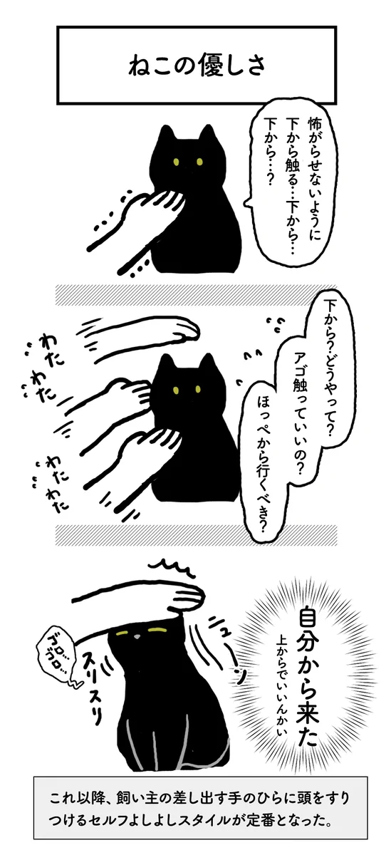ネコと暮らすって尊い！はじめてのナデナデの様子がたまらん！