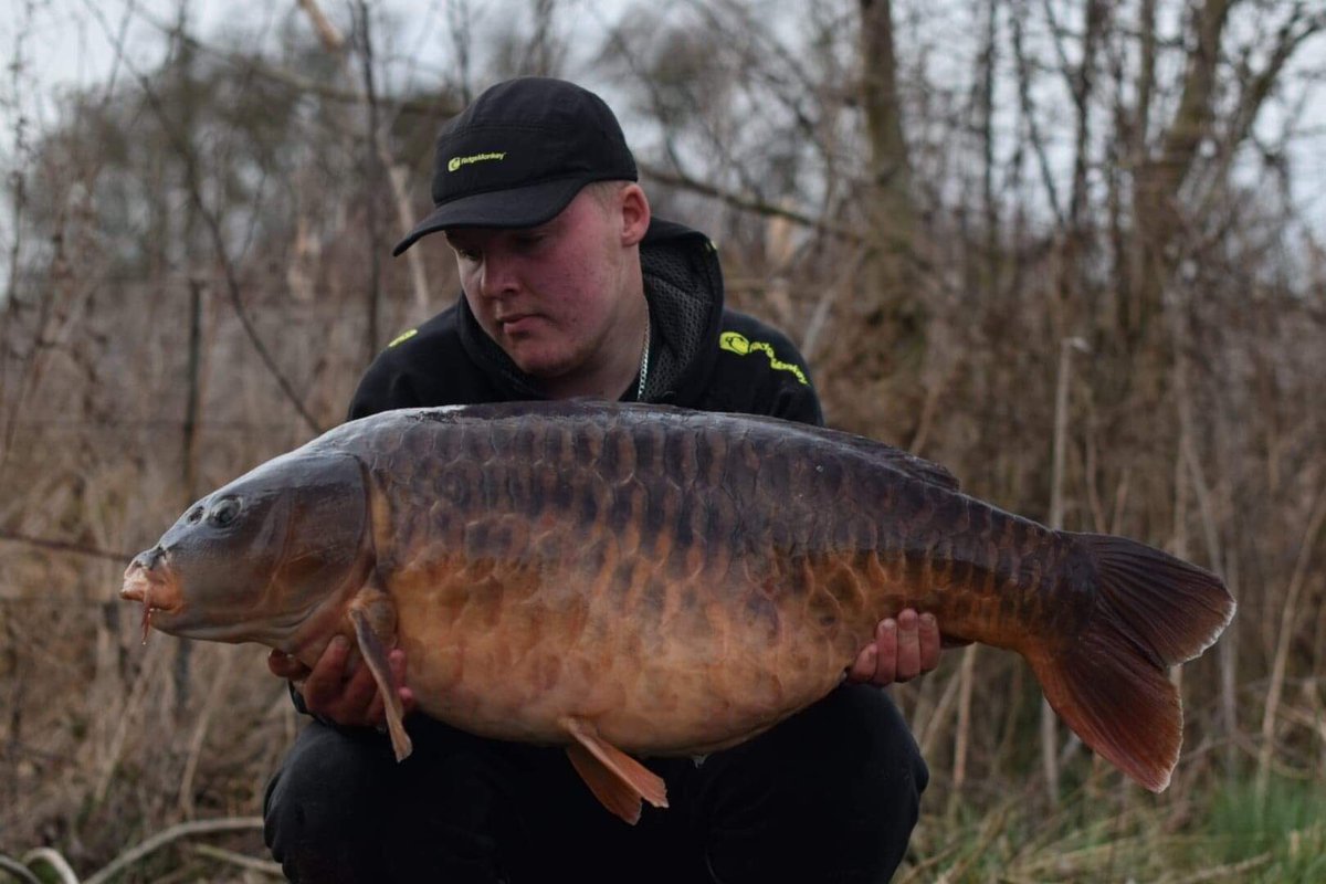 MoyesMichael's tweet photo. Charlie Allen 41lb 8oz Fully #Midkentfisheries #Ridgemonkey https://t.co/SlZkj4rluE