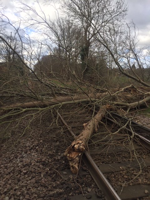 SWR Help on Twitter: 