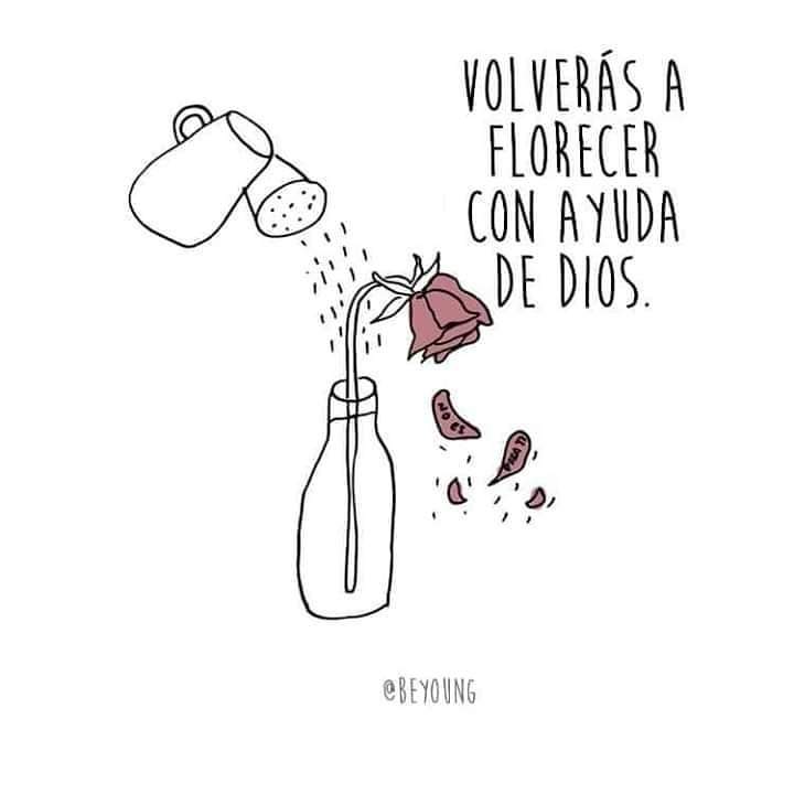 CledyGomez's tweet photo. DEUS Maravilloso 🤗 https://t.co/6F71KnrMYU