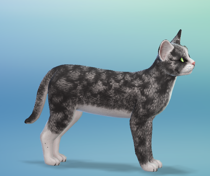 AshariaArt's tweet photo. #Nachtschatten now in my gallery! Gallery Link: https://t.co/s3QHpFphjX #TheSims #TheSims4 #Sims #Asharia #AshariaArt @SimsCreatorsCom https://t.co/npjhdm4lfK