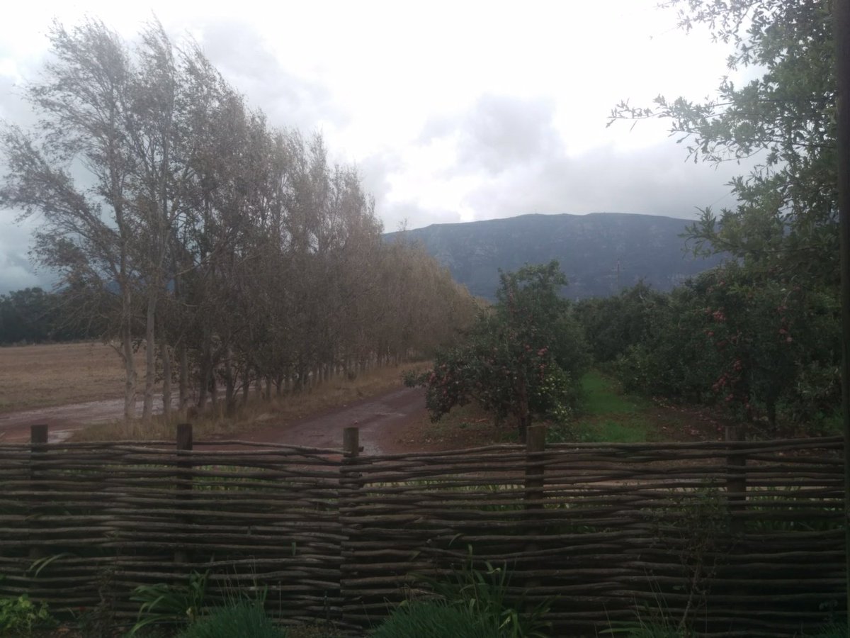 WWFSouthAfrica's tweet photo. A pre-#JourneyofWater pitstop at the picturesque @PaulCluverWines, one of our #ConservationChamps who engage in biodiversity-friendly farming practices, conserve their natural areas and continually improve their water and energy efficiencies. https://t.co/UPtVMc6WAT