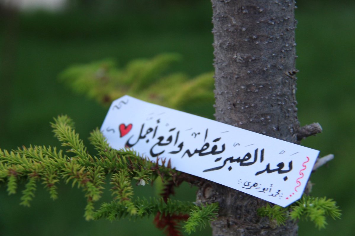 ضمد فؤادك واطمئن 🌷
الكل يمر بظروف قاهره ربما تغلبك أحياناً لكن لابد للعسر أن يتبعه يُسر وفرج من هذا الحمل والهم الكبير الذي في قلبك ، الحياة تحتاج لقوتك وصبرك دائماً ، أمشي فيها بكل ثقة وتوكل على الله أولاً قبل كل شيء وتذكر جهدك هذا وتعبك وتحملك وصبرك لن يذهب سُدى وهباءً 🌿💪