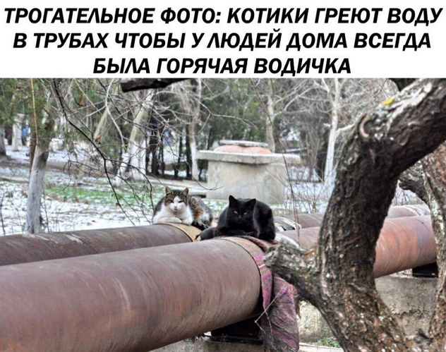 so_gud_so_tweet's tweet photo. https://t.co/TrJKISQjyt