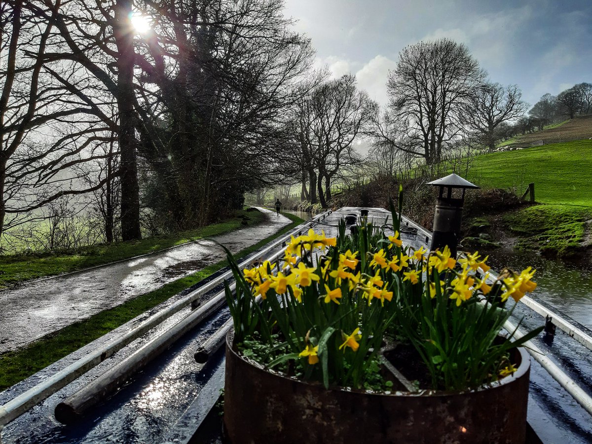 FridaysFolly's tweet photo. Enjoyed some rays of sunshine in between those spring showers and some dancing daffodils along the way #boatsthattweet #lifesbetterbywater https://t.co/jvtfpDlt7G