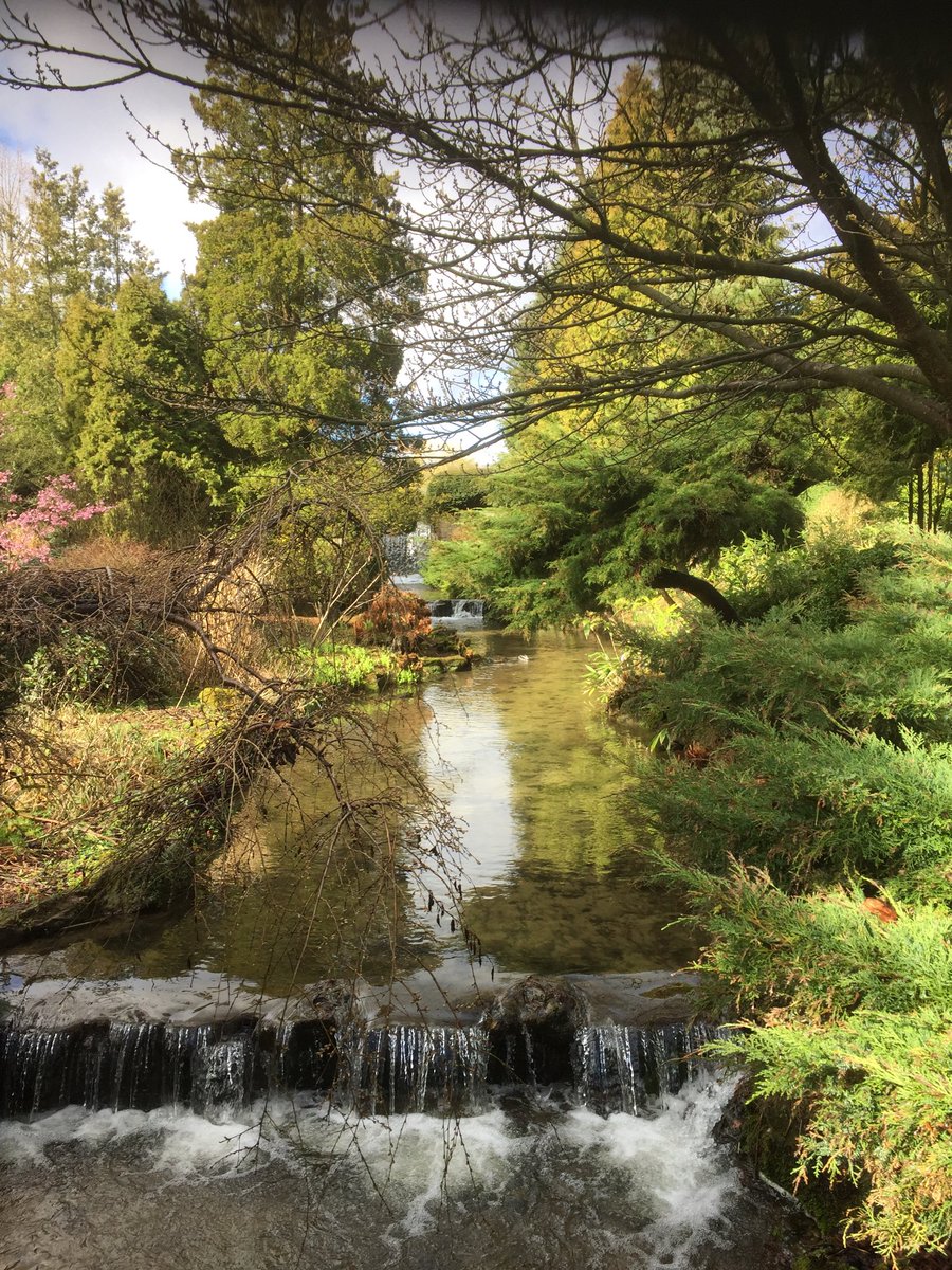 Newstead’s Japanese Gardens what a treasure. #montydon #newsteadabbey #japanesegardens