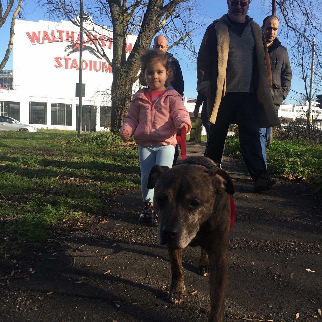 TheBFCBarking's tweet photo. Come for a walk with the whole #family @barkingPark and have your Sunday Lunch with us @thebigfriendlycoffee

#spring is coming!!!! Lovely walk in the #sunshine. #walthamstowstadium @ilona.n78

#london #eastlondon #essex #sunday #lunch #weekend #walk #dog #walkinthepark #family https://t.co/i5kQVrhrFz