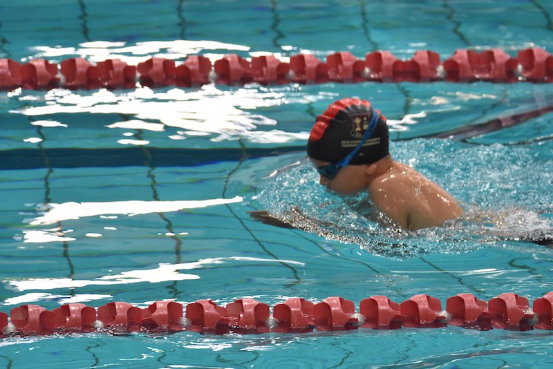 smilematt's tweet photo. @TerraceSwimming #GPSswimming #GPSjuniors @GPSsport #RedandBlack #terracepride #terracegentleman @bneaquaticcentre All In #GoTerrace https://t.co/6DrfQha98Z