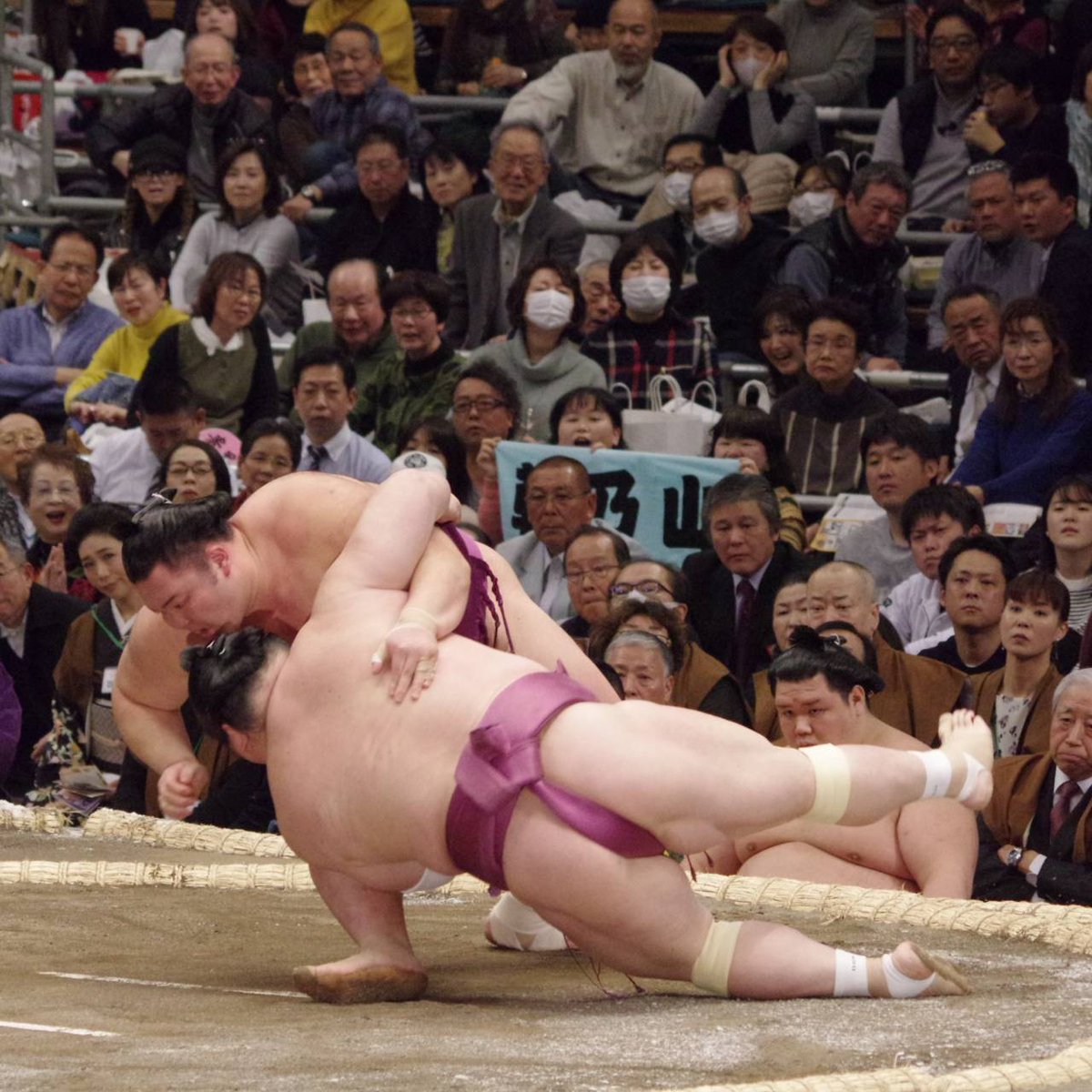 初日の様子＞ 幕内取組。 琴奨菊 押し出し 佐田の海。 朝乃山 掬い投げ