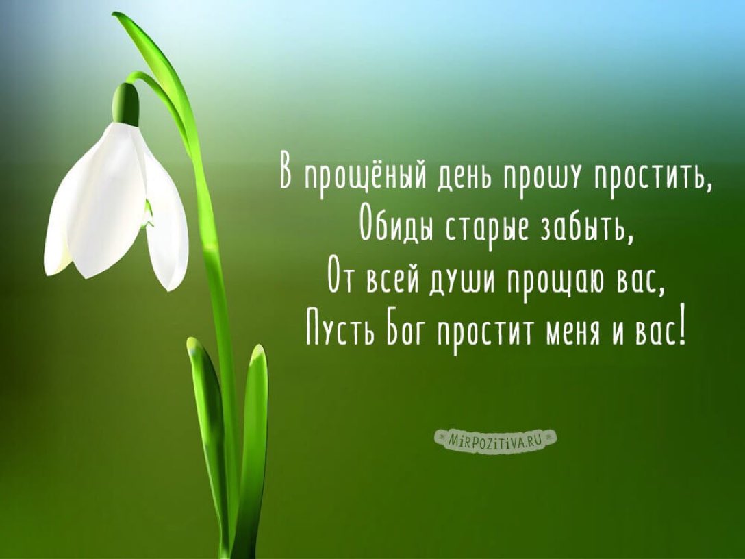 Прикольная марта, картинки я прощаю тебя и ты меня прости