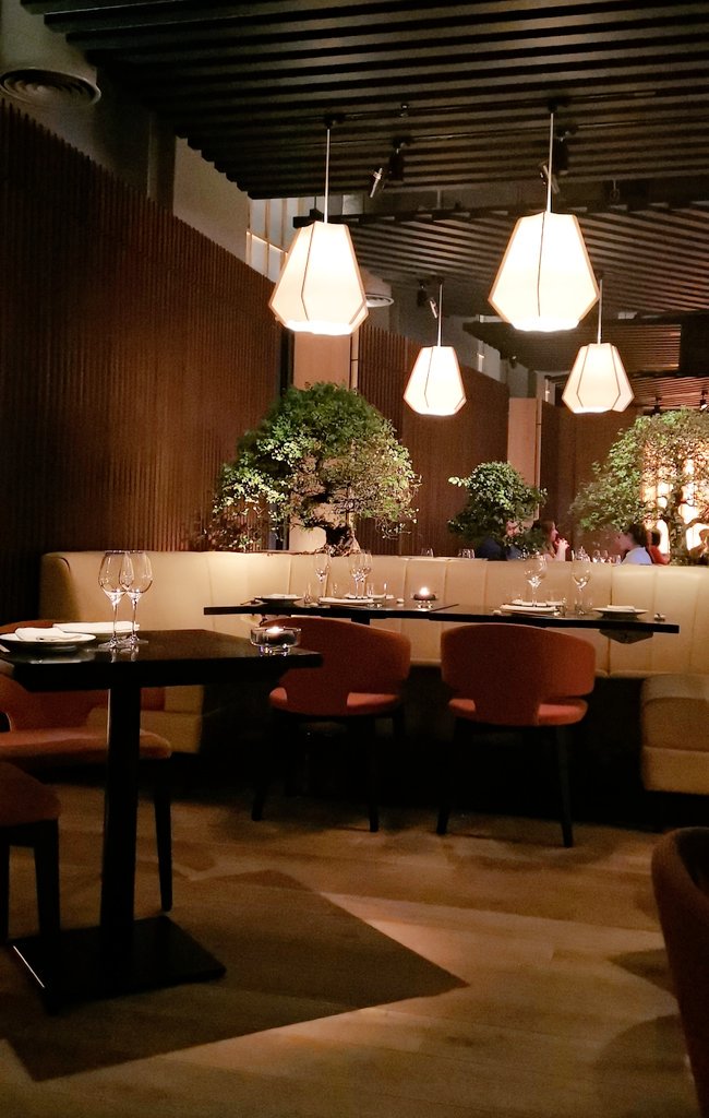 Adventures of a Ginger tweet media