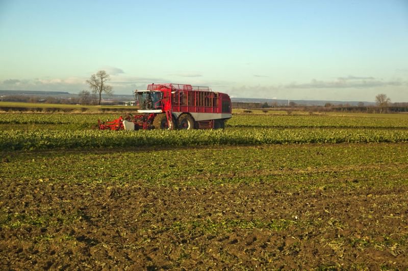 Risk of virus yellows 'high' this year 
-Mild winter and warm weather at end of Feb has increased risk
-Along with losses of neonics
-On-farm hygiene is 'essential' to remove potential sources of the virus 
#BritishAgri via <a href="/FarmingUK/">FarmingUK</a> <a href="/BritishArable/">British Arable</a> 
 ow.ly/PJnw30nZ48X