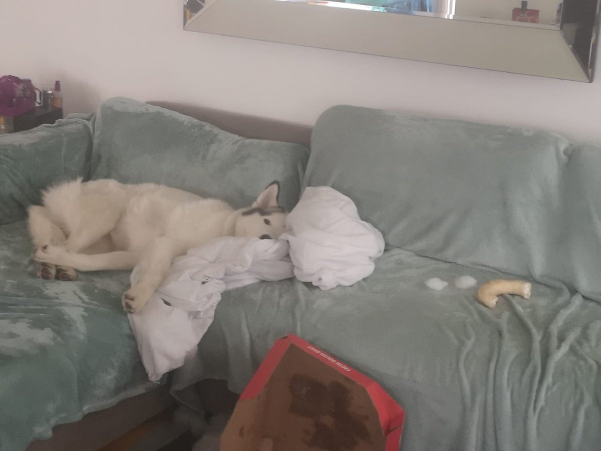 Michelle O'Callaghan tweet media