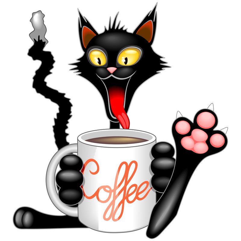 BrunchAndBrew's tweet photo. It's always #coffeetime #brunchandbrew #hornbeampark #harrogate Open 7.30 to 2.30 weekedays https://t.co/rzofUpRdgM
