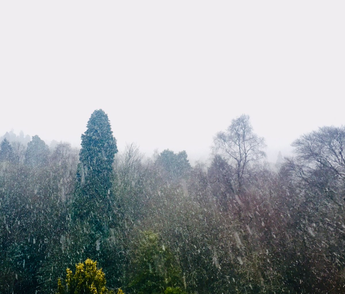 ramblersscot's tweet photo. ❄️ Snow for our hardy early morning #RamblersSC19 walkers, en route to Sherriffmuir before breakfast. https://t.co/3m640kuUNH