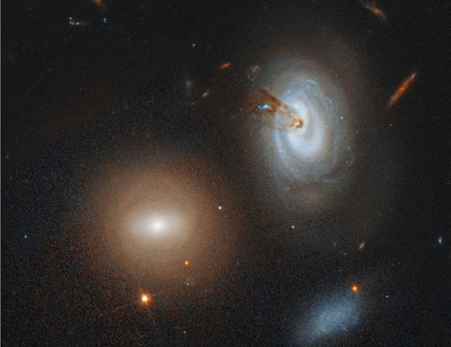 Astronomy-Memes tweet media