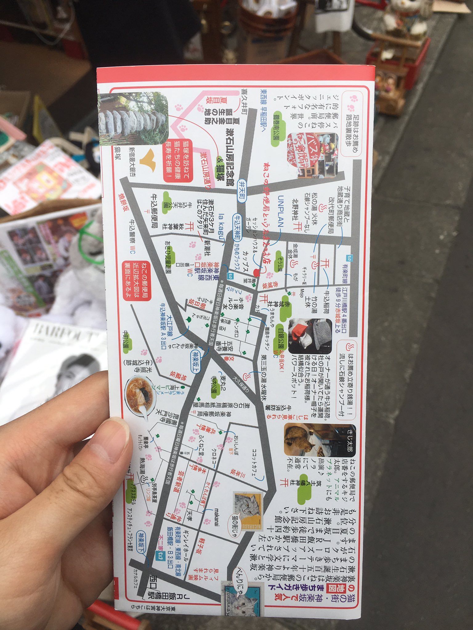 猫の郵便局 Twitter Search Twitter