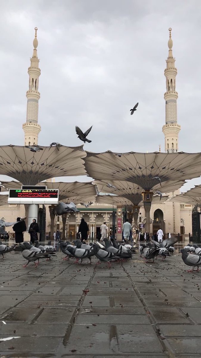 #وين_وداك_الشوق
إلى هنـــ🕊❤️ـــاك
#المدينة_المنورة