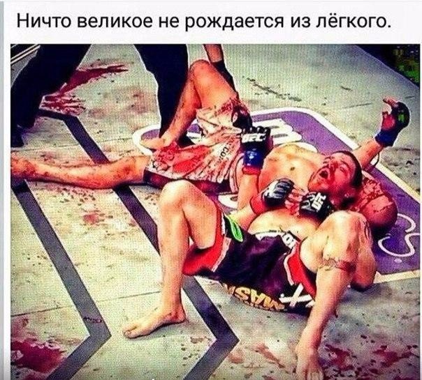 fight_evolution's tweet image. #fightevolution #sport #ufc #mma #box #sambo #judo #muaythai #bjj #fight #бои #соревнования #нокаут #бокс #мма #самбо #дзюдо #борьба #тхэквондо #тайскийбокс #рукопашныйбой #кикбоксинг #каратэ #тренировка #спорт #мотивация #зож