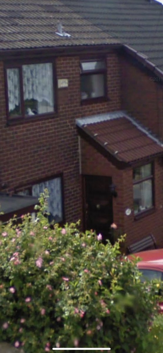 Allied windows tweet media