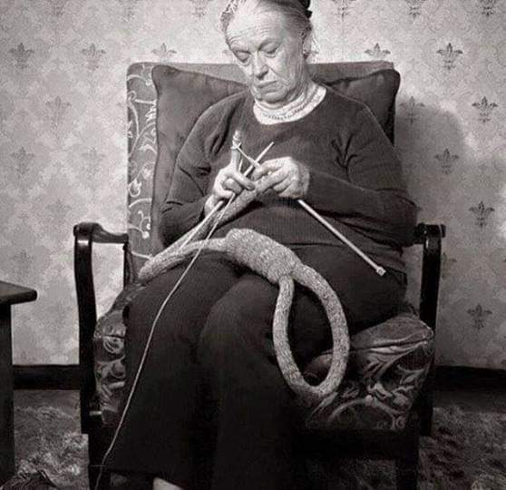 " Kimse sanıldığı kadar, masum yaşamıyor bu hayatı ,,
herkes bi şekilde kendi elleriyle hazırlıyor sonunu..
.
Nuray Gültekin
20/02/2019
23:47