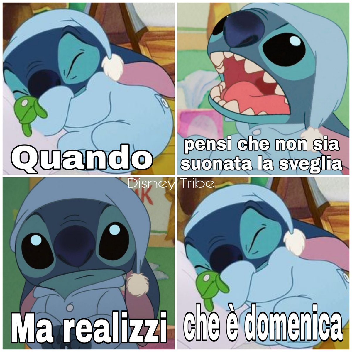 TribeDisney's tweet photo. Buongiorno e buona #Domenica 
#Disney https://t.co/TO1RXW7P6W