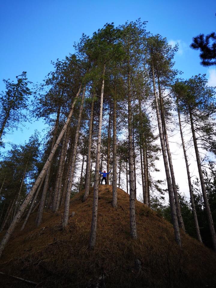 racheldrift's tweet photo. Stunning day on our beautiful Isalnd, just hanging out in the great outdoors! 😃#newborough #anglesey #exercise #freshair #beach #beachlife #sea #sun #wind #trees https://t.co/JsYhfTVOy6