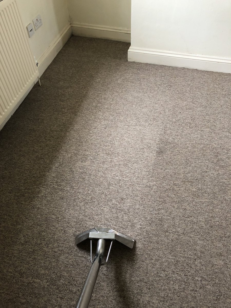mysmartcarpet's tweet photo. Check this out the dirt has gone let’s just call it half and half https://t.co/k3knUnOflE