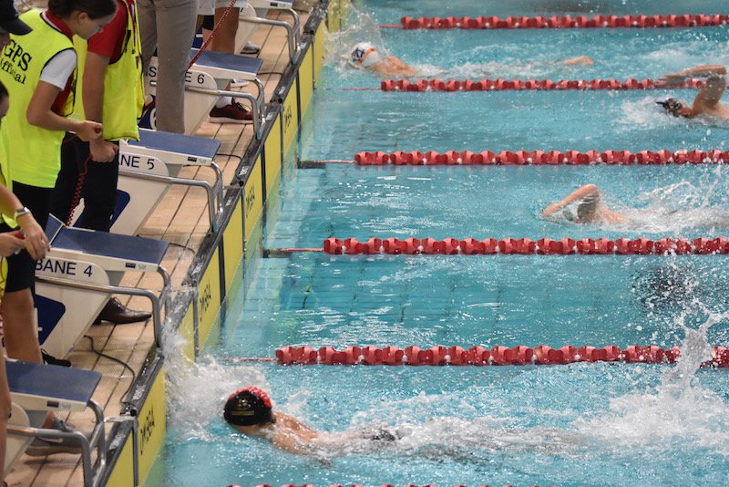 smilematt's tweet photo. @TerraceSwimming #GPSswimming #GPSjuniors @GPSsport #RedandBlack #terracepride #terracegentleman @bneaquaticcentre All In #GoTerrace https://t.co/FVEZDKNNMi