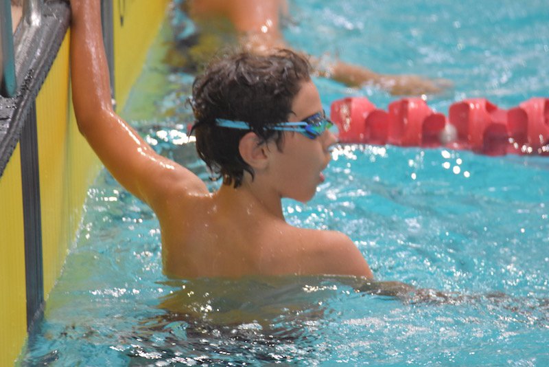 smilematt's tweet photo. @TerraceSwimming #GPSswimming #GPSjuniors @GPSsport #RedandBlack #terracepride #terracegentleman @bneaquaticcentre All In #GoTerrace https://t.co/7bnPnVj4ed