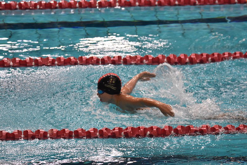 smilematt's tweet photo. @TerraceSwimming #GPSswimming #GPSjuniors @GPSsport #RedandBlack #terracepride #terracegentleman @bneaquaticcentre All In #GoTerrace https://t.co/7bnPnVj4ed
