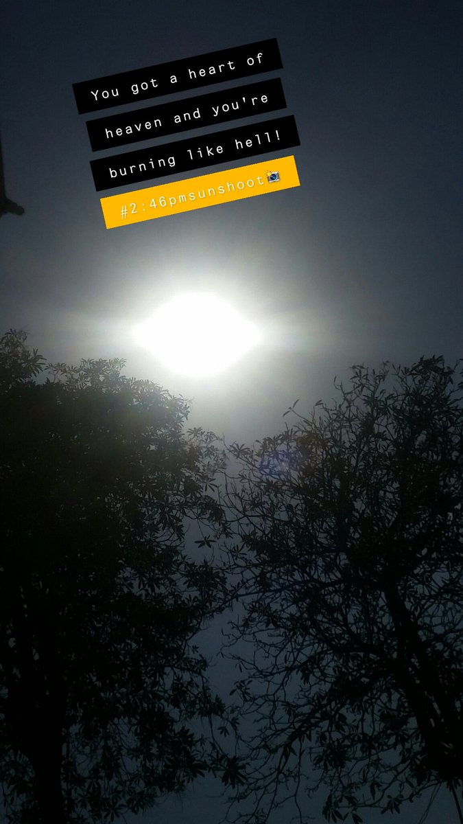 Ten_Z_Law's tweet photo. You got a heart of heaven but you're burning like hell❗
#SunnySideofLife
#sunshoot https://t.co/NpITTGf2OG