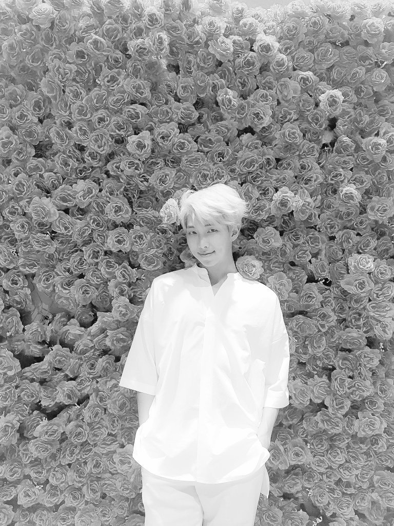 njarchives's tweet photo. 🌹💧 https://t.co/ML1yt9p3SC