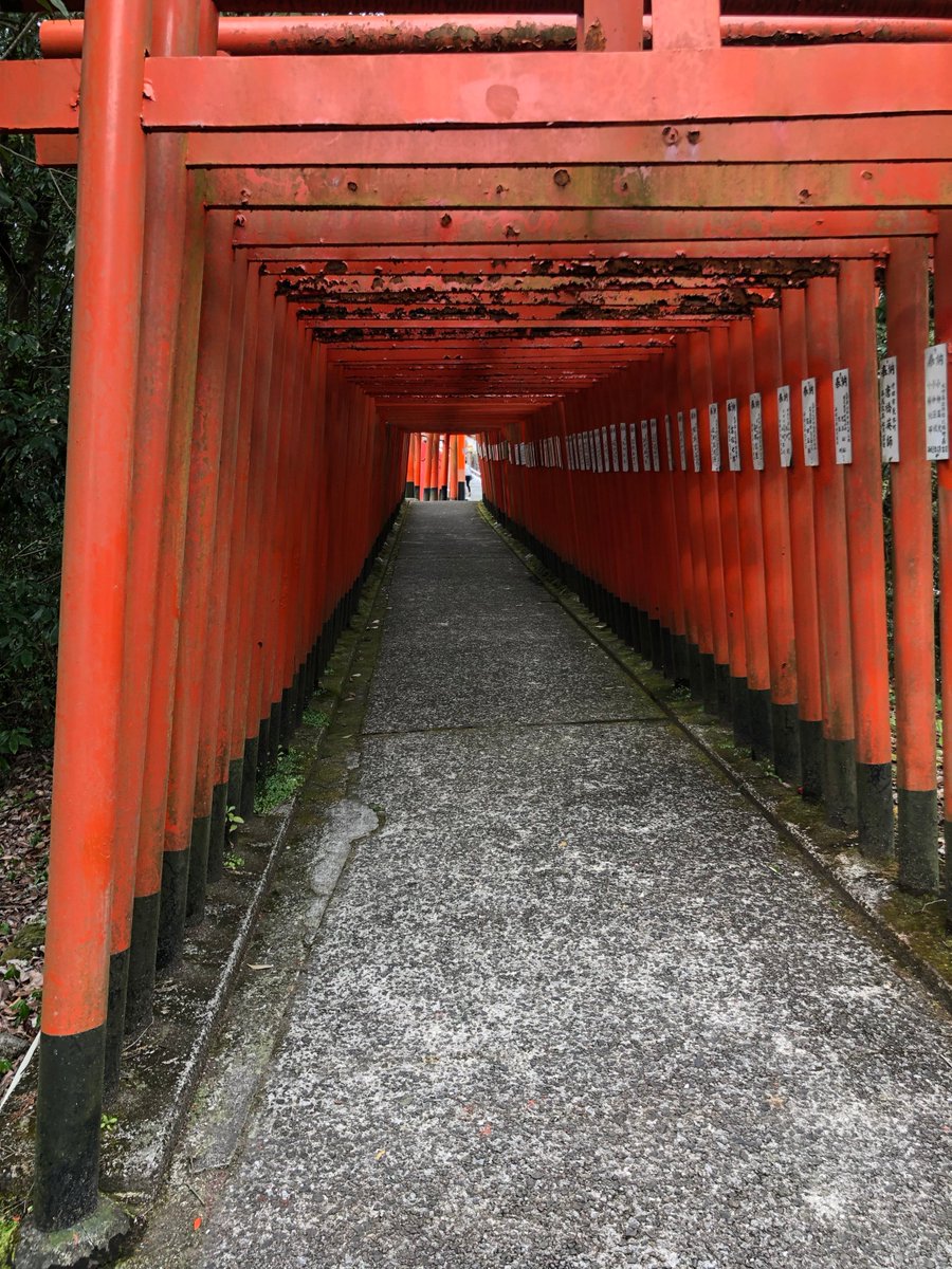 tadasi_rocket3's tweet photo. 大分県竹田市
扇森稲荷神社
#扇森稲荷神社
#九州三大稲荷
#こうとうさま
#神楽の奉納 https://t.co/5XWRCWvSNW