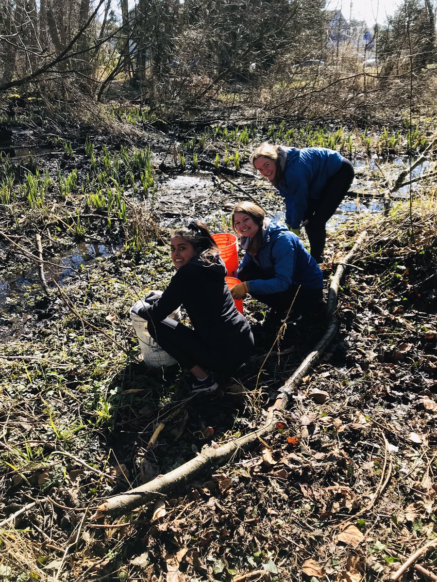 ExperienceEC's tweet photo. Thanks to Shawn S. and the UW Environmental Studies Program for inviting Eastside Catholic Green Team to partner with you to help restore Licton Springs Park. @LoveLicton @UWEnvironment https://t.co/7OHExYYpdq
