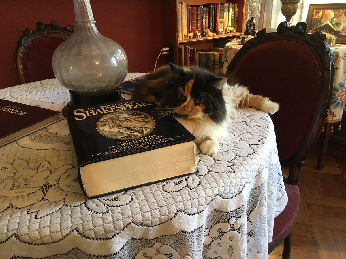 Martina apoya su cabeza en Shakespeare, no la mueve de ahí. Es su almohada. Todo un símbolo