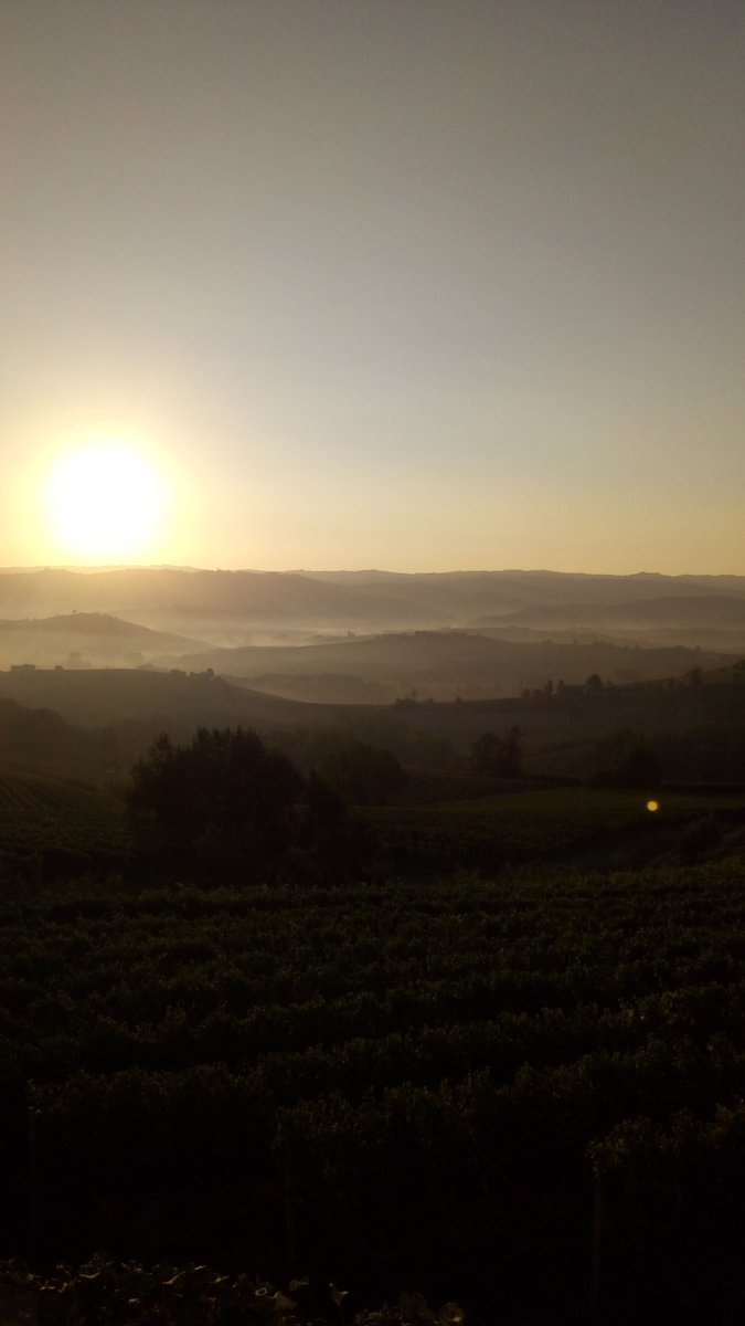 AlbaInLanghe's tweet photo. Last year picture, Ready to start new season!
Foto della passata stagione, pronti per riaprire presto!
#Langhe #AlbaInLanghe https://t.co/l1FkiAs8NR