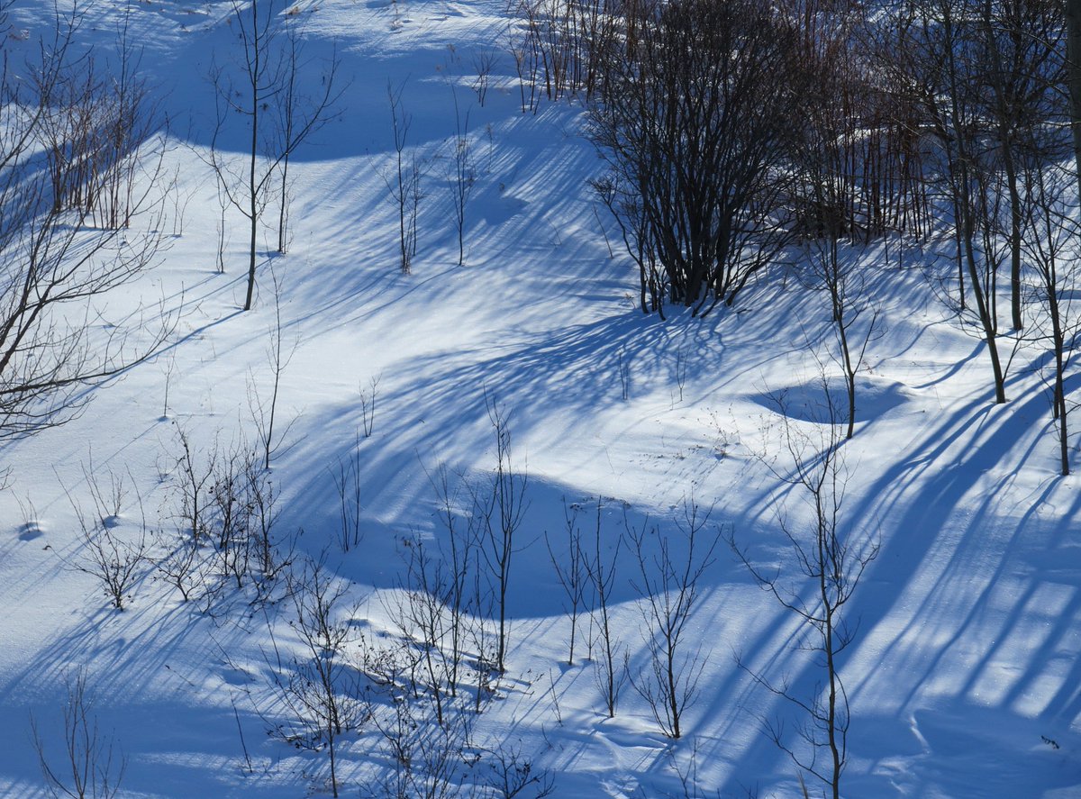 derektilley321's tweet photo. You know you've punched a couple of months of crappy weather when you get excited to see shadows. #Nothardtoplease https://t.co/J7MmeT4noo