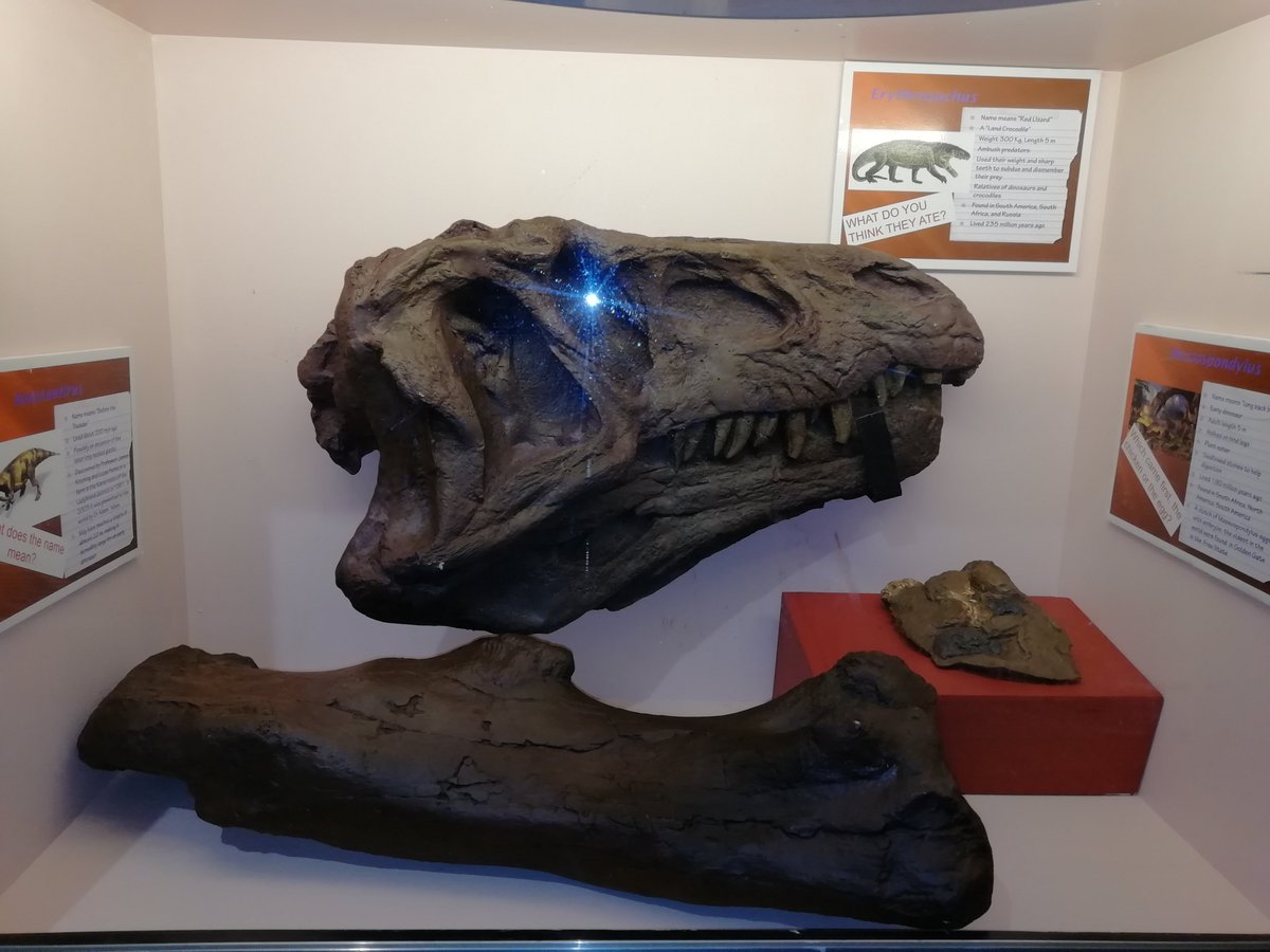 Archaeology African tweet media