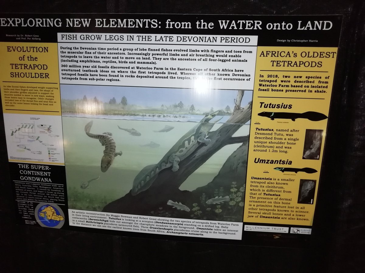 Archaeology African tweet media