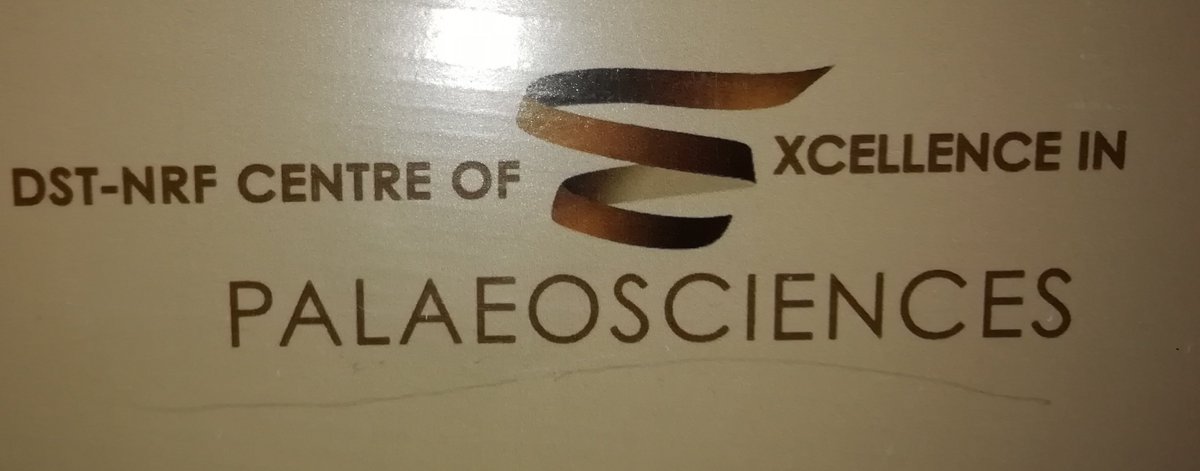 Archaeology African tweet media