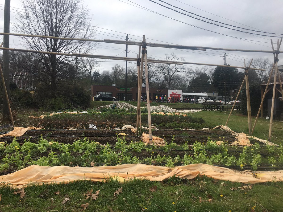 rosemfrench's tweet image. On my Sunday morning jog around  @DowntownDecatur found myself pining for the garden behind @kimballhousebar to come back #SpringFoward #spring